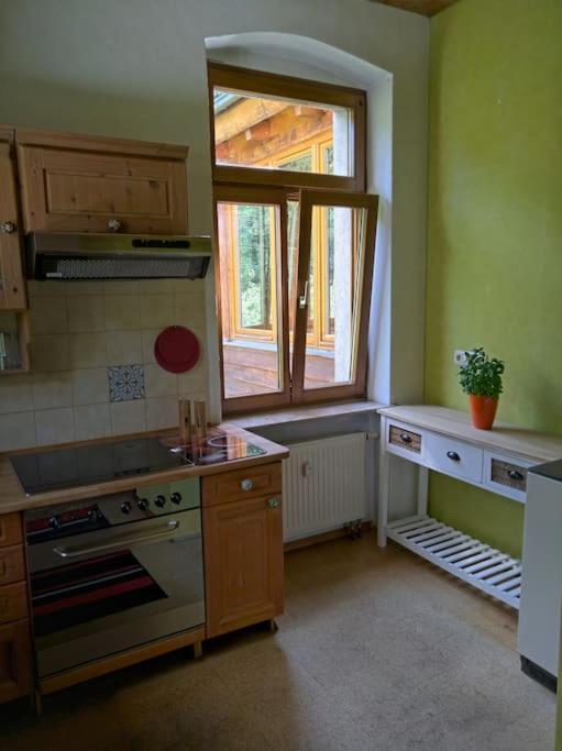 Idyllische Ferienwohnung In Zentrumsnaehe Dresden Exterior photo